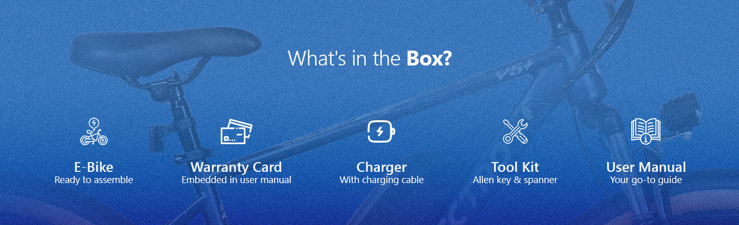 What's in the Box?